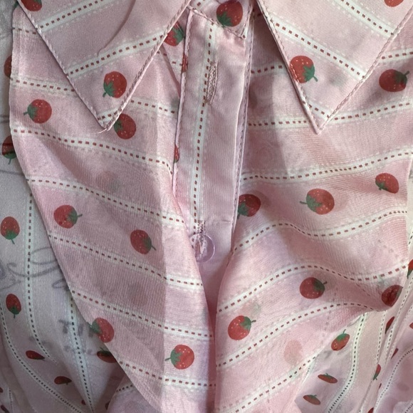 Smak Parlour Curve Pink Strawberries Stripe sheer Ruffle Blouse 2XL - Picture 6 of 7